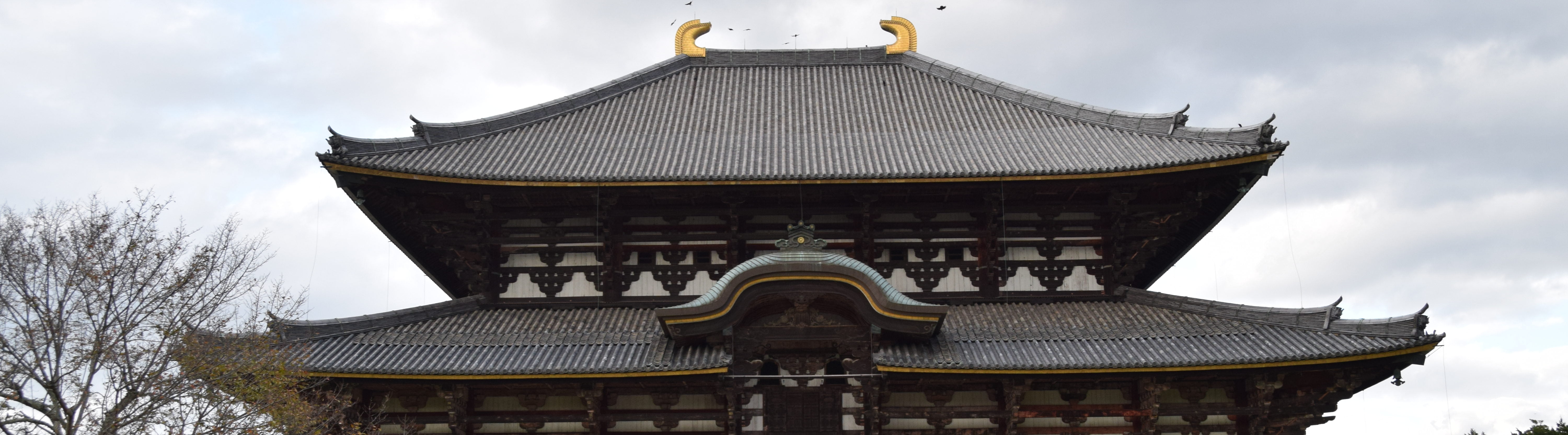 De heilige herten van Nara