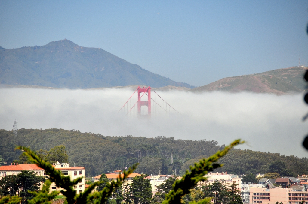 Golden Gate Bridge gezien vanaf Buena Vista Park